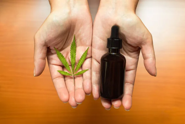Elleri marihuana yaprağı ve bir şişe cbd yağı gösteriyor. Güçlü bir kenevir özü. Ağrı ve hastalıklar için kullanılan doğal tedavi..