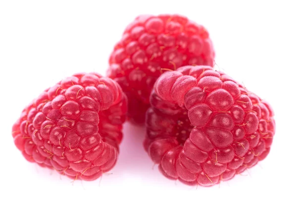 Drei frische Himbeeren — Stockfoto