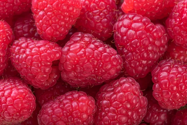 Hintergrund mit frischen Himbeeren — Stockfoto