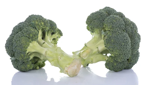Iki taze brokoli — Stok fotoğraf