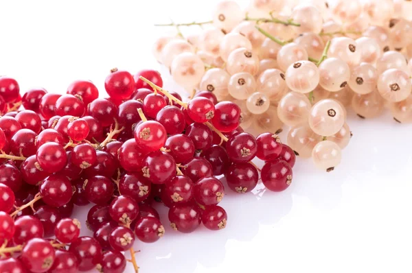 Fresh red and white currants — Stock Photo, Image