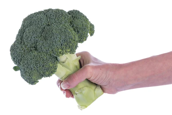 Brokoli kök tutan el — Stok fotoğraf