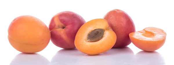 Abricots frais mûrs — Photo