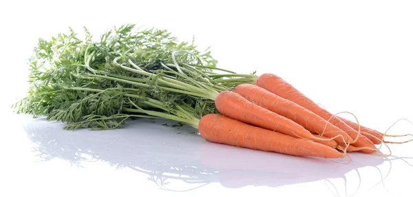 Fresh carrots with leaves — Stock Photo, Image