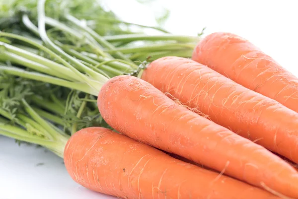 Свежая морковь с листьями — стоковое фото