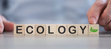  Tahta küplerde ekoloji kavramı