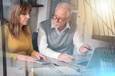 Ofiste dizüstü bilgisayarda çalışan iki olgun iş arkadaşı.