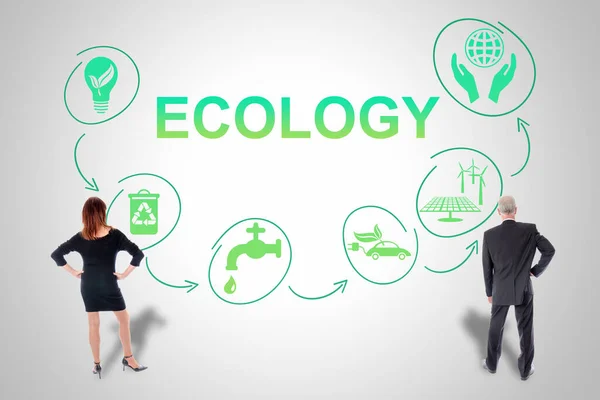 Ecologie Concept Getekend Een Muur Bekeken Door Zakenmensen — Stockfoto