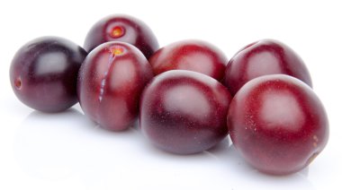 taze olgun mavi Erik