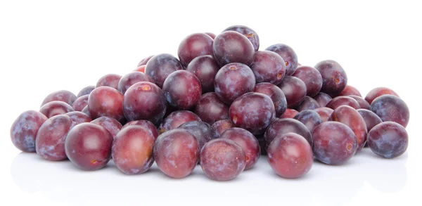 Heap of fresh ripe blue plums — Stock Photo, Image