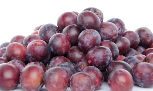 Heap of fresh ripe blue plums — Stock Photo, Image