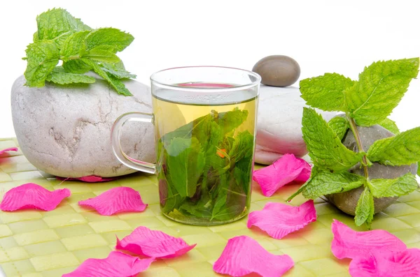 Cup of mint tea, fresh mint, pebbles and pink petals on a green — Stock Photo, Image