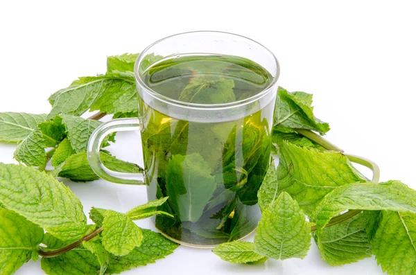 Cup of mint tea in the middle of fresh mint — Stock Photo, Image