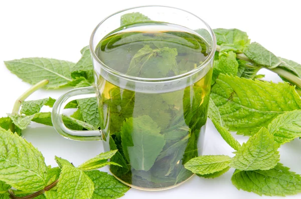 Cup of mint tea in the middle of fresh mint — Stock Photo, Image