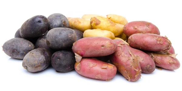 Olika sorters potatis — Stockfoto