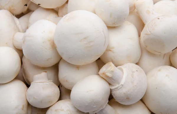 Fresh button mushrooms — Stock Photo, Image