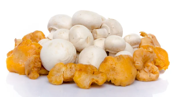 Composition with button and chanterelle mushrooms — Stock Photo, Image