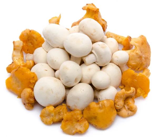 Composição com botão e cogumelos chanterelle — Fotografia de Stock
