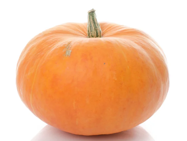 Nice big pumpkin — Stock Photo, Image