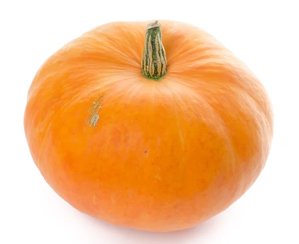 Nice big pumpkin — Stock Photo, Image