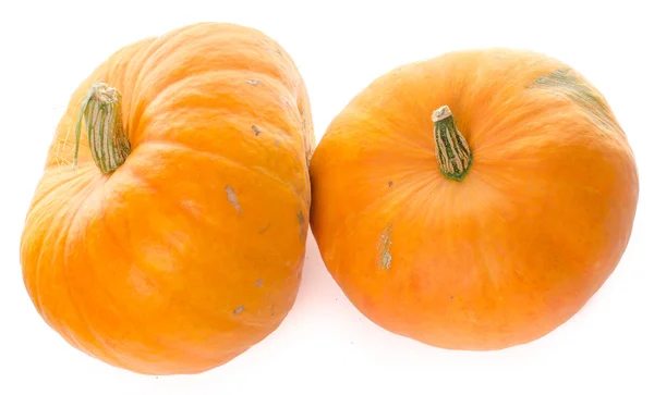 Nice big pumpkins — Stock Photo, Image