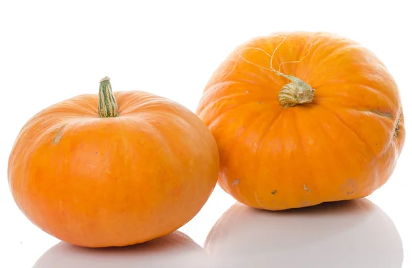 Nice big pumpkins — Stock Photo, Image