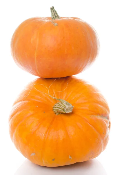 Nice big pumpkins — Stock Photo, Image