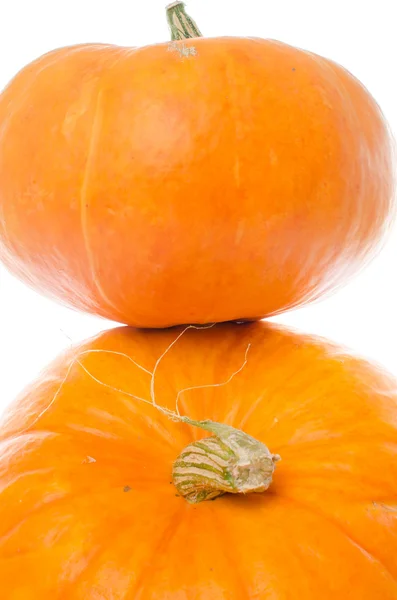 Nice big pumpkins — Stock Photo, Image