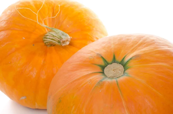 Nice big pumpkins — Stock Photo, Image
