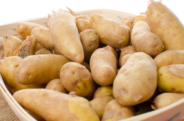 Novas batatas de rattes em uma cesta — Fotografia de Stock