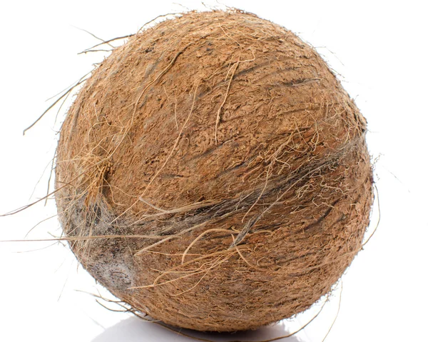 Hele kokosnoot — Stockfoto