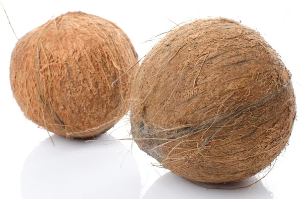 Ganze Kokosnüsse — Stockfoto