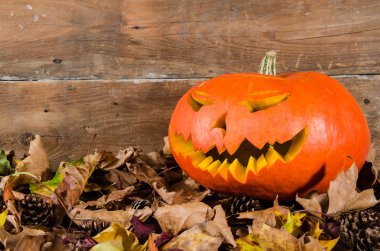 Cadılar Bayramı Balkabağı