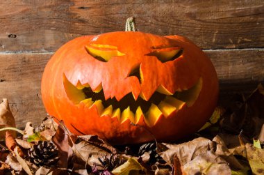 Cadılar Bayramı Balkabağı