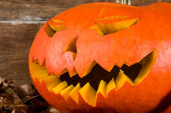 Halloween pumpkin — Stock Photo, Image