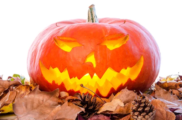 Halloween pumpkin — Stock Photo, Image