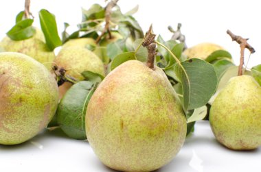 yaprakları ile armut