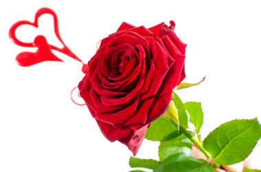 Kırmızı gül ve Sevgililer günü için kalp