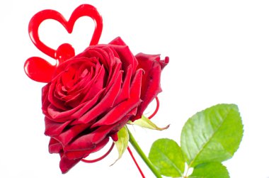 Kırmızı gül ve Sevgililer günü için kalp