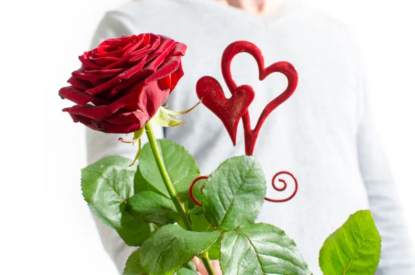 Eine Rose zum Valentinstag — Stockfoto