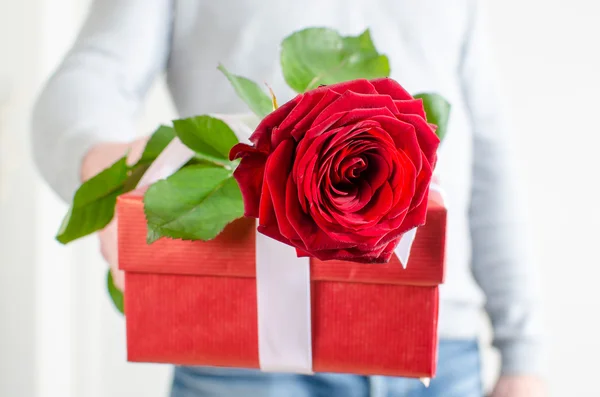 Homem segurando um presente e uma rosa vermelha — Fotografia de Stock