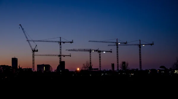 Grues au coucher du soleil — Photo