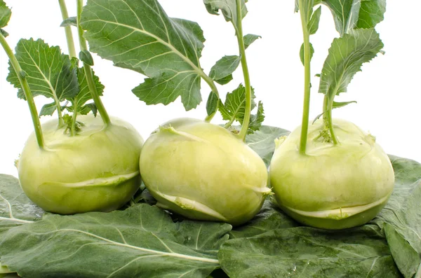 Kohlrabi segar — Stok Foto