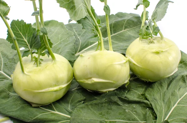 Fresh kohlrabi — Stock Photo, Image