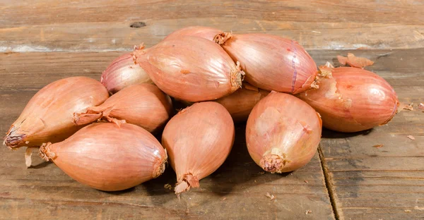 Bunch of shallots stock photo. Image of plant, shallot - 31223948