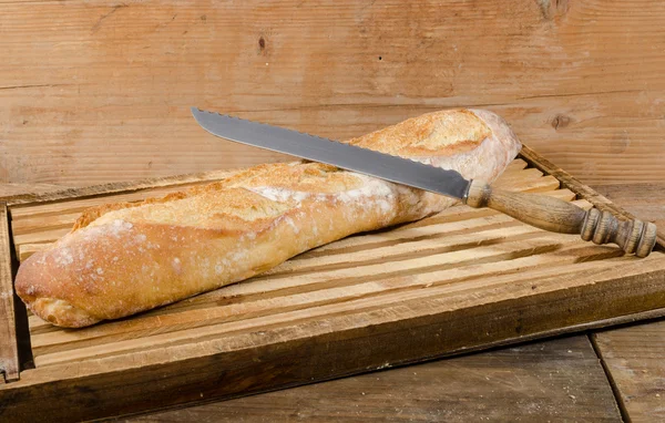Tasty French baguette — Stock Photo, Image