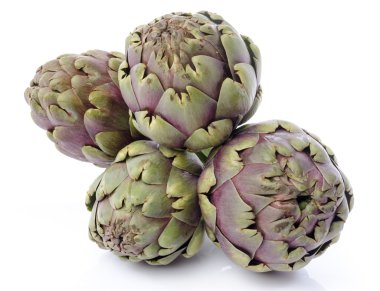 Taze yeşil mor enginar