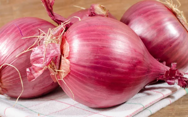 Verse bollen van rode uien — Stockfoto