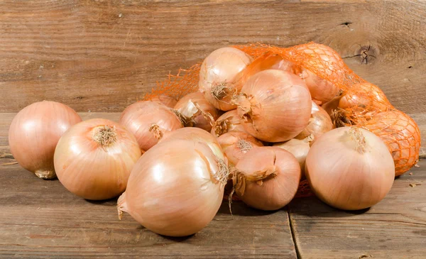 Bombillas frescas de cebolla — Foto de Stock