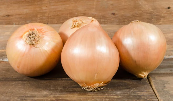Fresh bulbs of onions